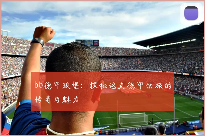 bb德甲狼堡：探秘这支德甲劲旅的传奇与魅力