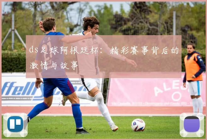 ds足球阿根廷杯：精彩赛事背后的激情与故事