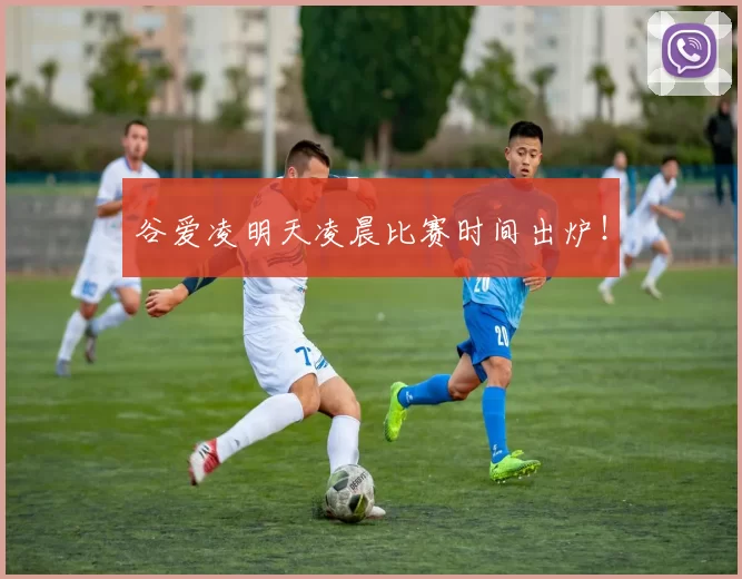 谷爱凌明天凌晨比赛时间出炉！