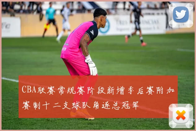 CBA联赛常规赛阶段新增季后赛附加赛制十二支球队角逐总冠军