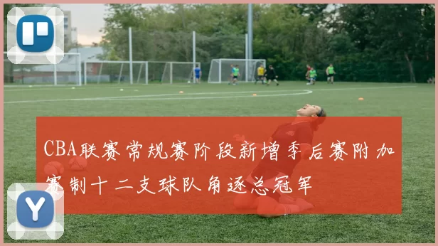CBA联赛常规赛阶段新增季后赛附加赛制十二支球队角逐总冠军