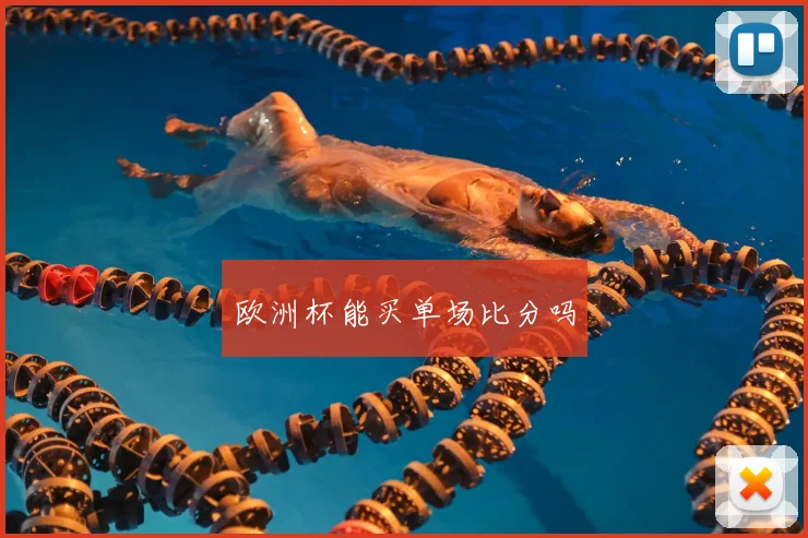 欧洲杯能买单场比分吗