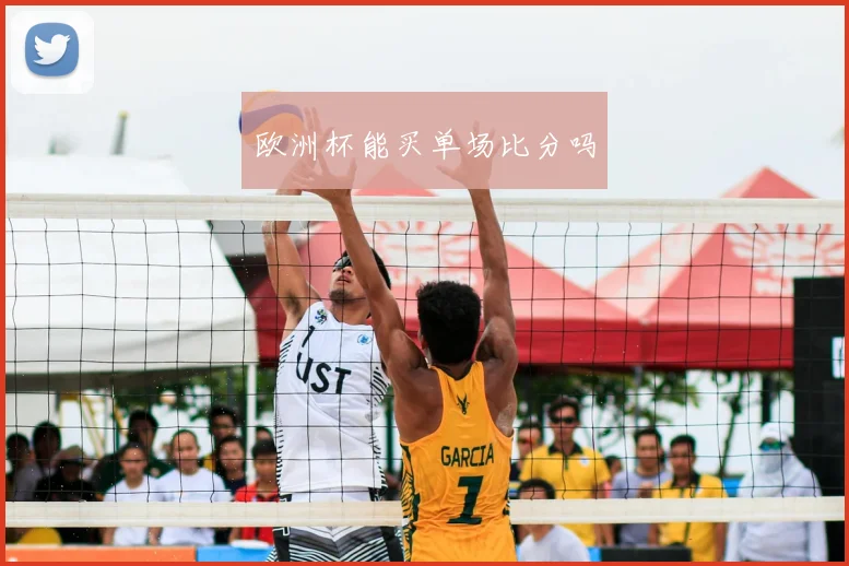 欧洲杯能买单场比分吗