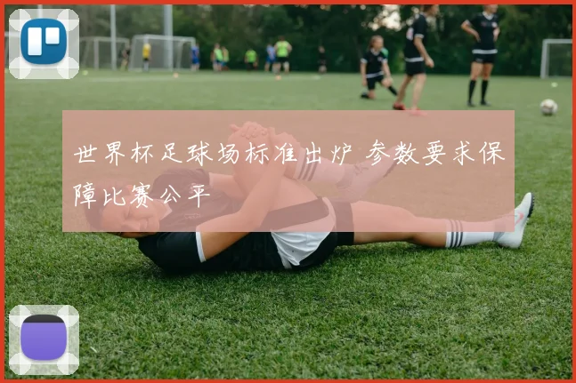 世界杯足球场标准出炉 参数要求保障比赛公平