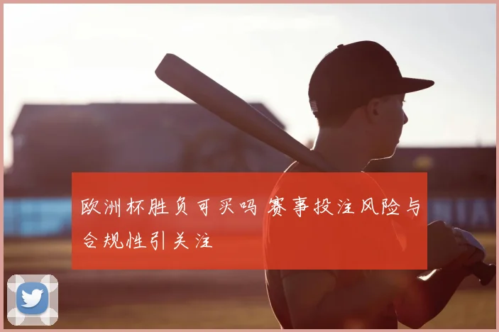 欧洲杯胜负可买吗 赛事投注风险与合规性引关注