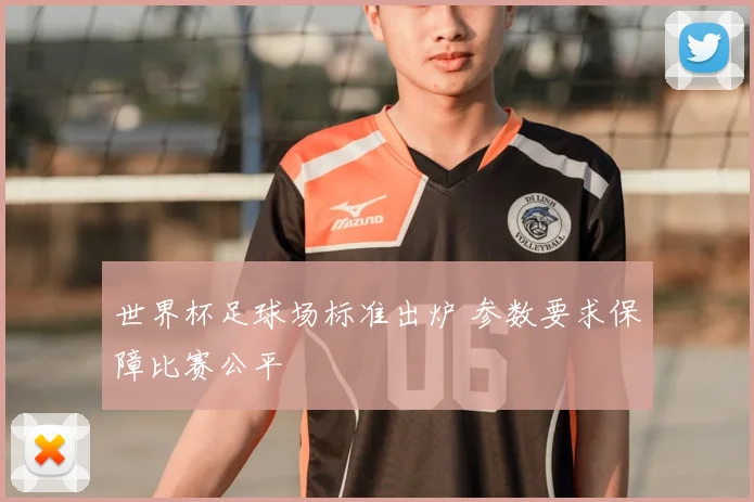 世界杯足球场标准出炉 参数要求保障比赛公平