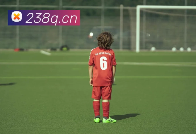 kaiyun「中国大陆」云开·门户网站 - 官方网站|登录入口发展历程